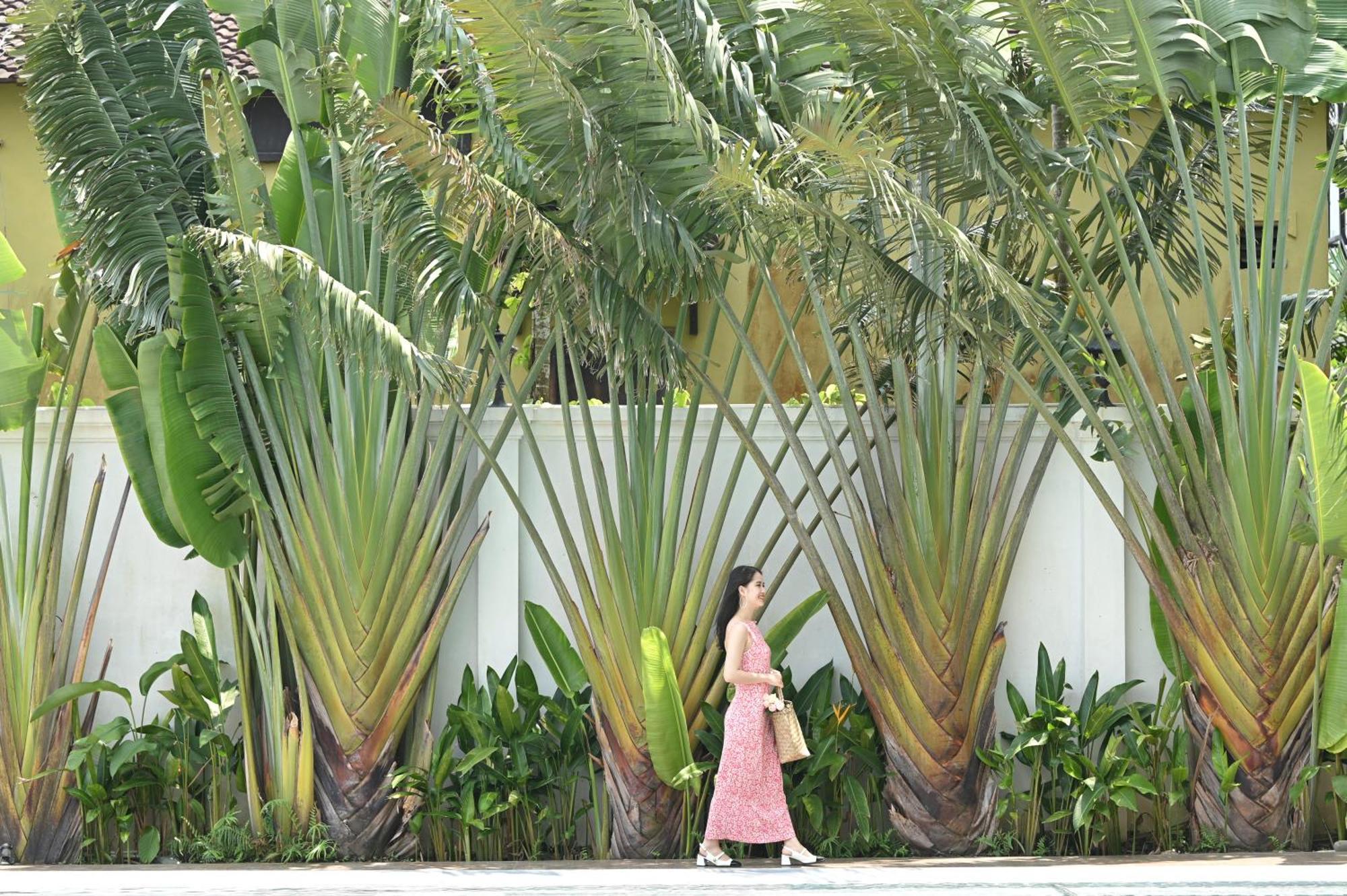 Shining Riverside Hoi An Boutique & Spa 외부 사진